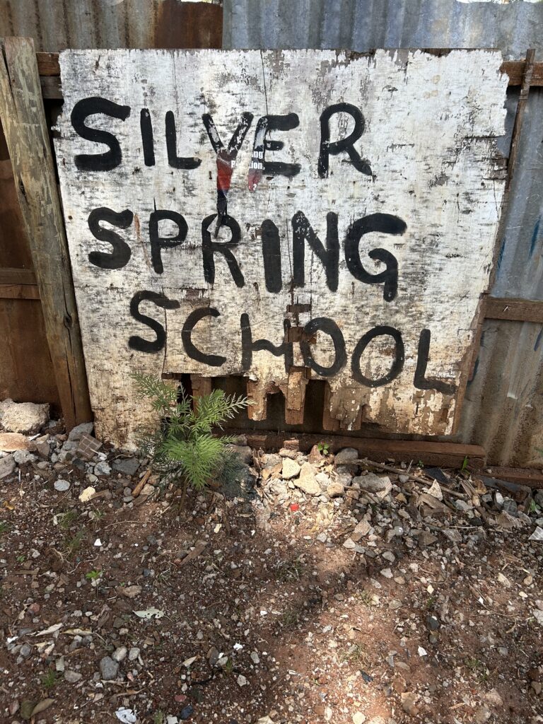 Silver Springs School